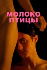 Постер Молоко птицы
