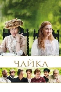 Постер Чайка