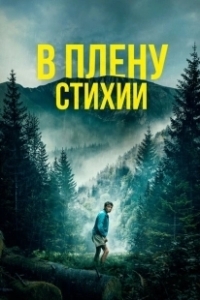 Постер В плену стихии (Lost on a Mountain in Maine)