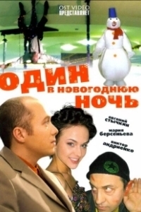 Постер Один в новогоднюю ночь