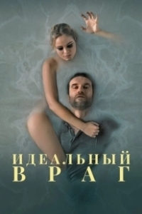 Постер Идеальный враг