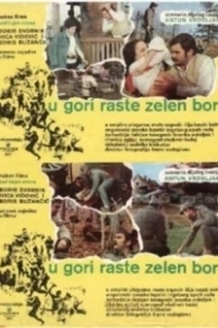На горе растет зеленая сосна (1971)