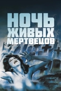 Постер Ночь живых мертвецов (Night of the Living Dead '90)