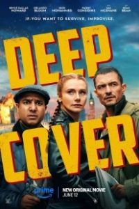 Под прикрытием (2025)