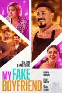 Постер Мой вымышленный парень (My Fake Boyfriend)