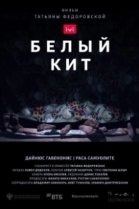 Постер Белый кит