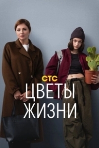 Постер Цветы жизни