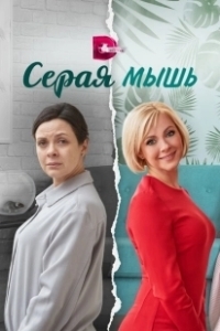 Постер Серая мышь