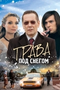 Постер Трава под снегом