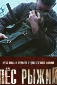 Постер Пёс рыжий