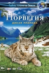 Норвегия 3D: Дикая природа (2013)