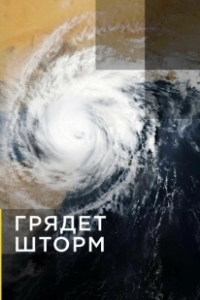 Постер Грядет шторм (Gathering Storm)