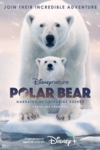 Постер Полярный медведь (Polar Bear)
