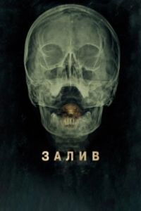 Постер Залив (The Bay)