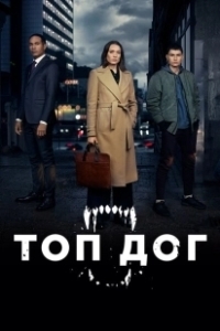 Топ дог (2020)