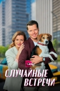 Постер Случайные встречи