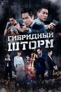 Гибридный шторм (2025)