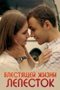 Постер Блестящей жизни лепесток