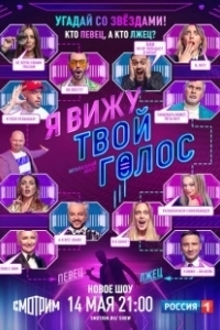 Постер Я вижу твой голос