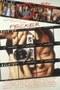 Постер Фотограф (The Public Eye)