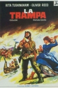 Постер Капкан (Safe House)