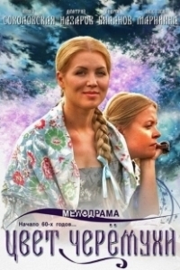 Постер Цвет черемухи
