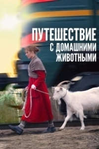Постер Путешествие с домашними животными