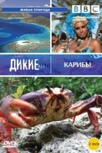 Постер BBC: Дикие Карибы (Wild Caribbean)