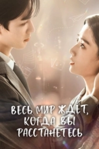 Постер Весь мир ждёт, когда вы расстанетесь (Quan shi jie dou zai deng ni men fen shou)