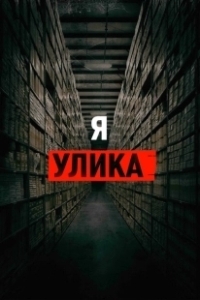 Постер Я — улика (I Am Evidence)