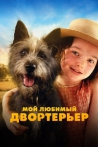 Постер Мой любимый двортерьер (Runt)