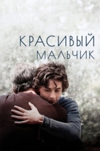 Постер Красивый мальчик (Beautiful Boy)
