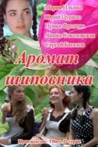 Постер Аромат шиповника