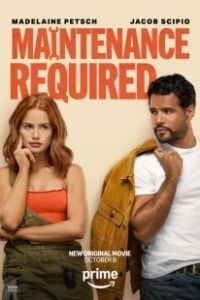 Требуется ремонт (2025)