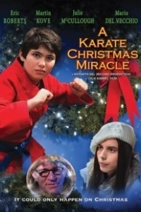 Постер Рождественское чудо в стиле карате (A Karate Christmas Miracle)
