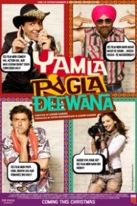 Сумасшедшая семейка (2011)