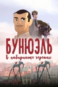 Постер Бунюэль в лабиринте черепах (Buñuel en el laberinto de las tortugas)