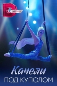Постер Качели под куполом