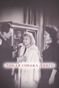 Постер Дикая собака динго