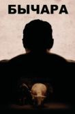 Постер Бычара (2021)