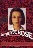 Постер Белая роза (1982)