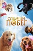 Постер Собачий побег (2023)