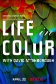 Постер Жизнь в цвете с Дэвидом Аттенборо (2021)