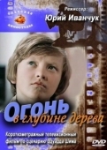 Постер Огонь в глубине дерева (1978)