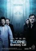 Постер Торн: Пуганая ворона (2010)