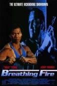 Постер Огнедышащий (1991)