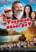 Постер Жить прекрасно (2017)