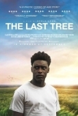 Постер Последнее дерево (2019)