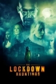 Постер Призраки локдауна (2021)
