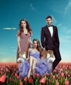 Постер Пора тюльпанов (2010)